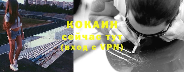 дмт Абаза