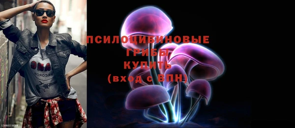 соль ск Алексеевка