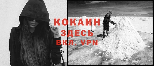 дмт Абаза