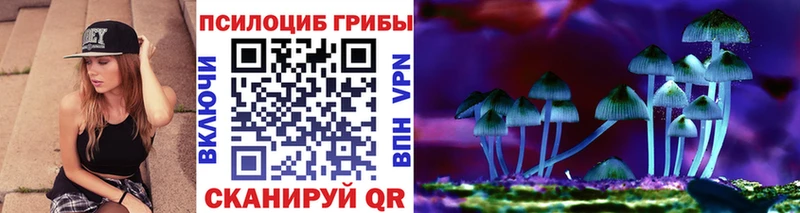 блэк спрут ссылка Кяхта shop Telegram Галлюциногенные грибы Magic Shrooms